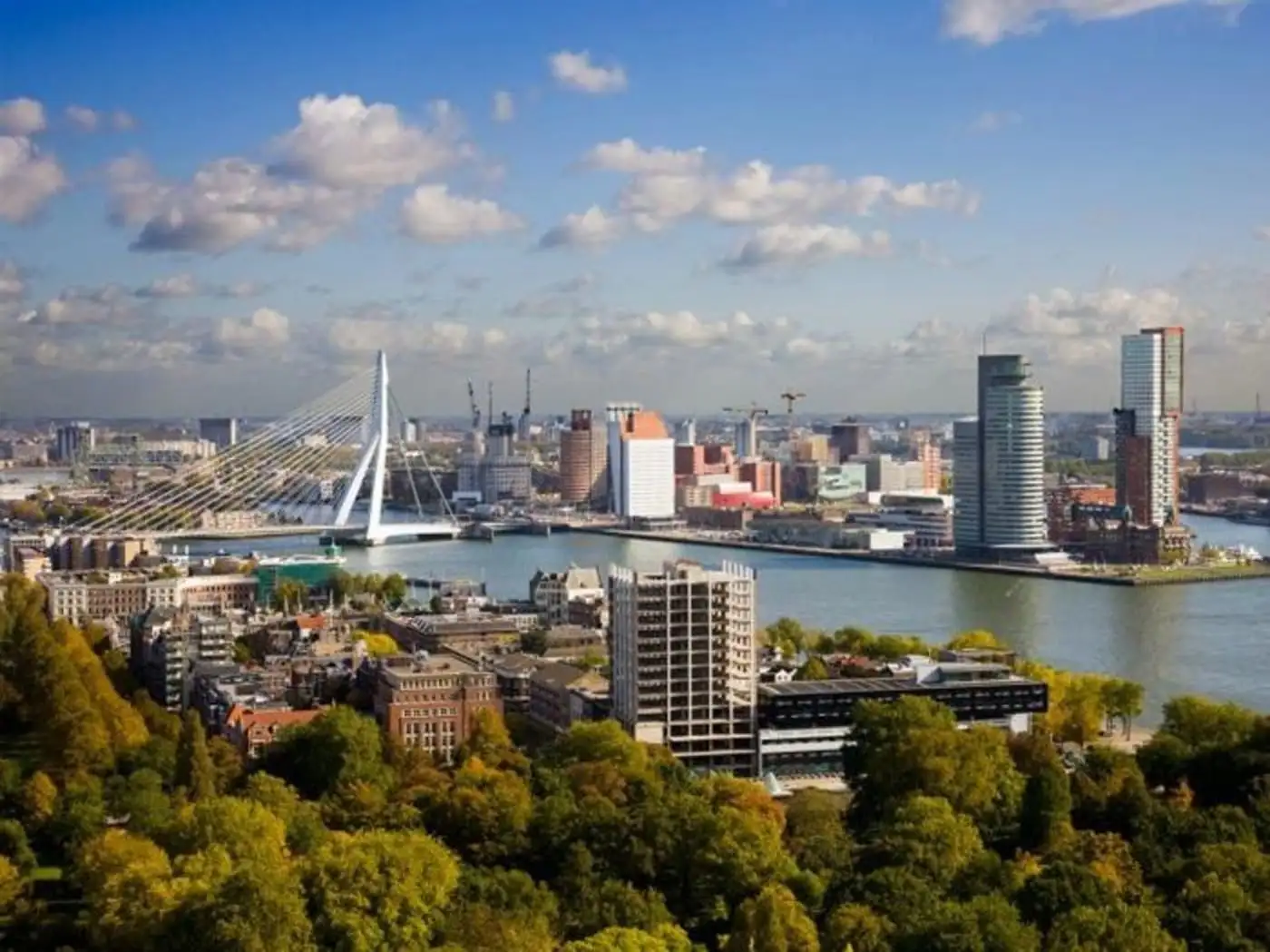 rotterdam.jpg